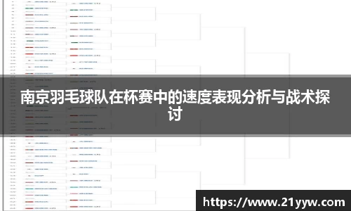 南京羽毛球队在杯赛中的速度表现分析与战术探讨