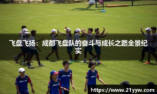 飞盘飞扬：成都飞盘队的奋斗与成长之路全景纪实