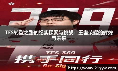 TES转型之路的纪实探索与挑战：王者荣耀的辉煌与未来